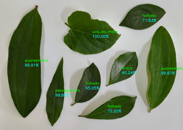 A image from the dataset